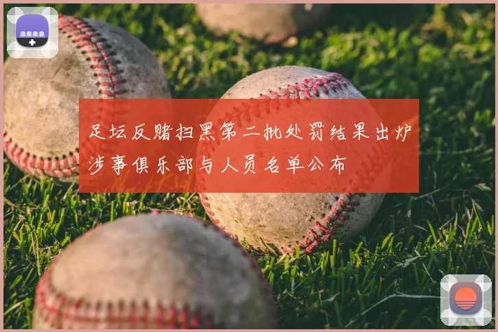 足坛反赌扫黑第二批处罚结果出炉涉事俱乐部与人员名单公布