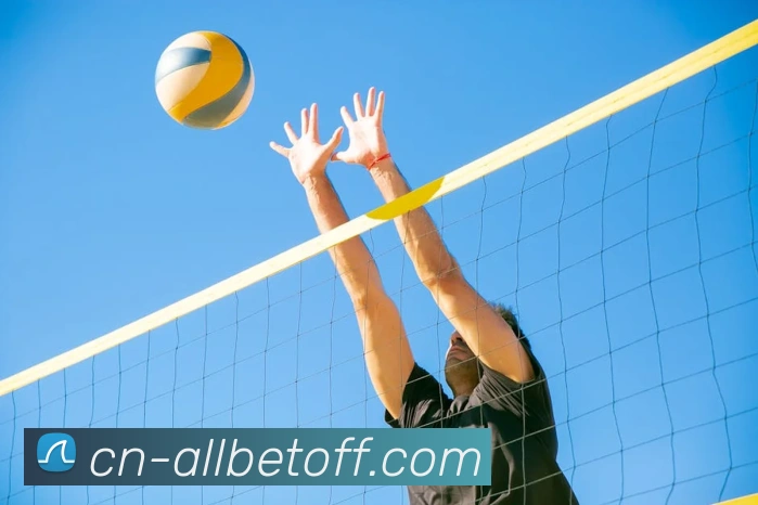 多媒体互动体验